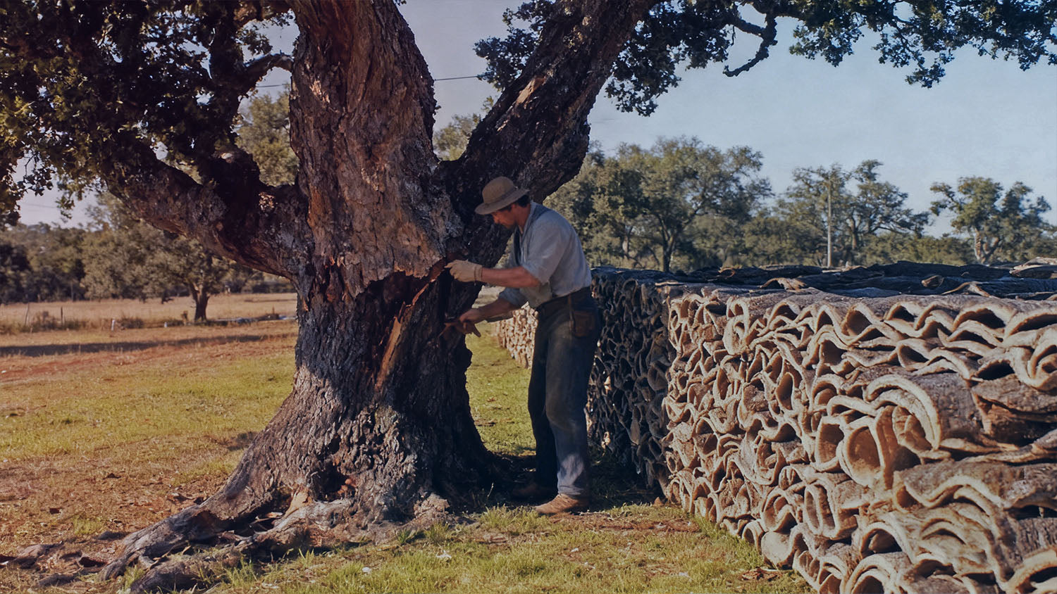 Sustainable natural cork raw material for orthopedic insole manufacturing and wholesale